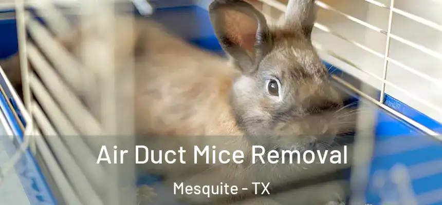 Air Duct Mice Removal Mesquite - TX