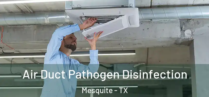Air Duct Pathogen Disinfection Mesquite - TX