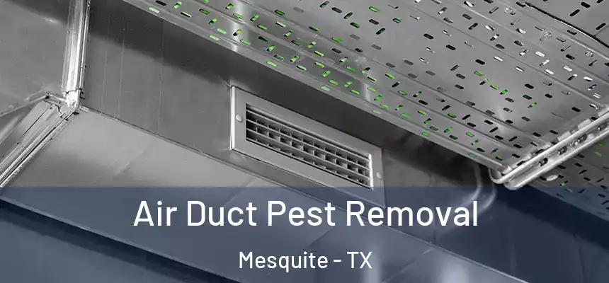 Air Duct Pest Removal Mesquite - TX