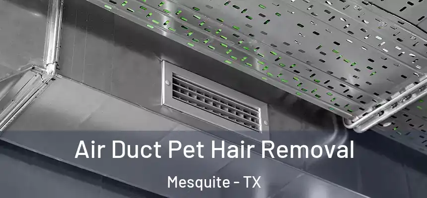Air Duct Pet Hair Removal Mesquite - TX
