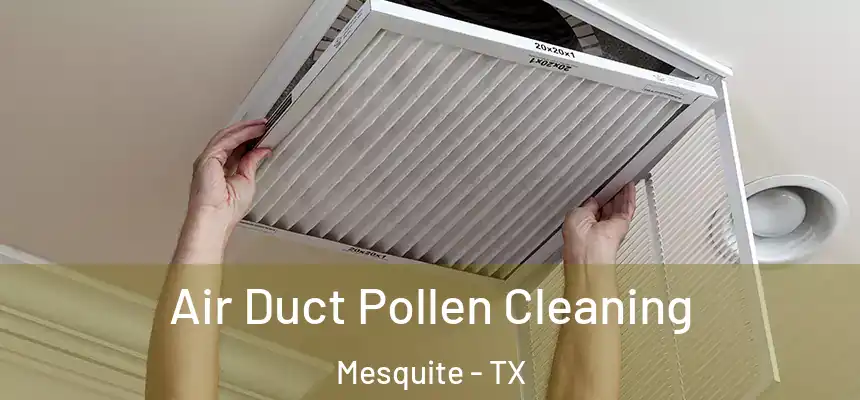 Air Duct Pollen Cleaning Mesquite - TX