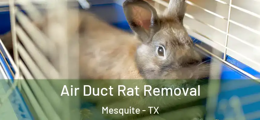 Air Duct Rat Removal Mesquite - TX