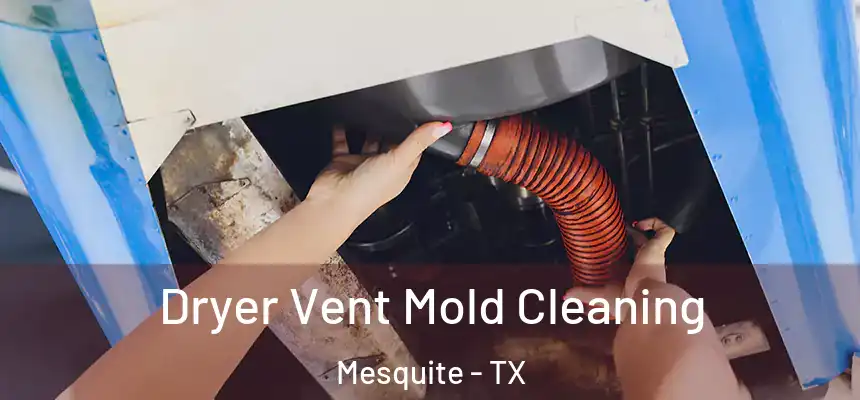 Dryer Vent Mold Cleaning Mesquite - TX
