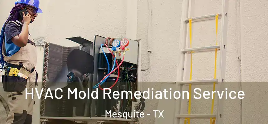 HVAC Mold Remediation Service Mesquite - TX