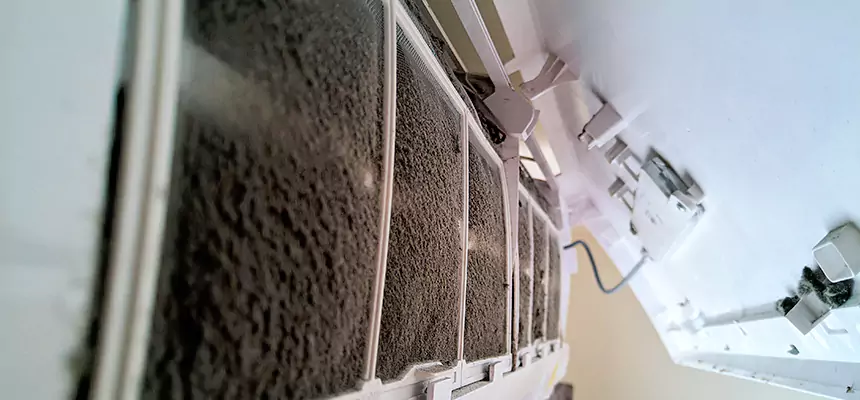 Preventive Air Duct Bacteria Removal in Mesquite