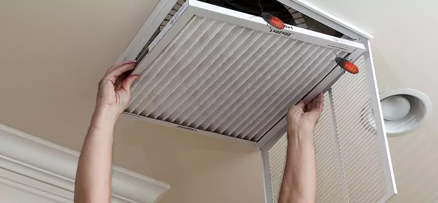 Preventive Cockroach-Proofing for Ducts in Mesquite