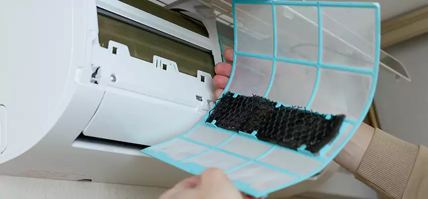 Gentle Ductwork Odor-Control Pet Dander Duct Cleaning in Mesquite, TX