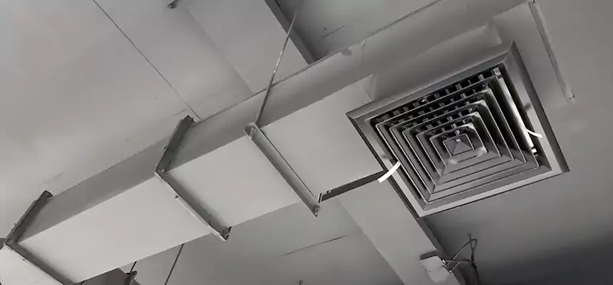 Our Rodent Droppings In Vents Services in Mesquite, TX