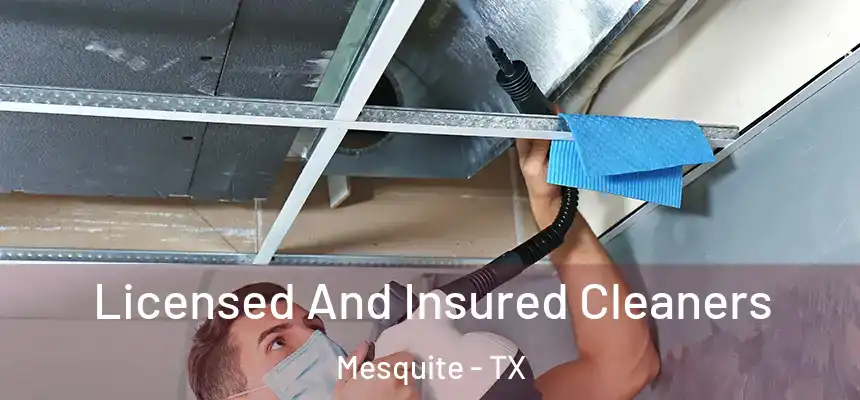 Licensed And Insured Cleaners Mesquite - TX