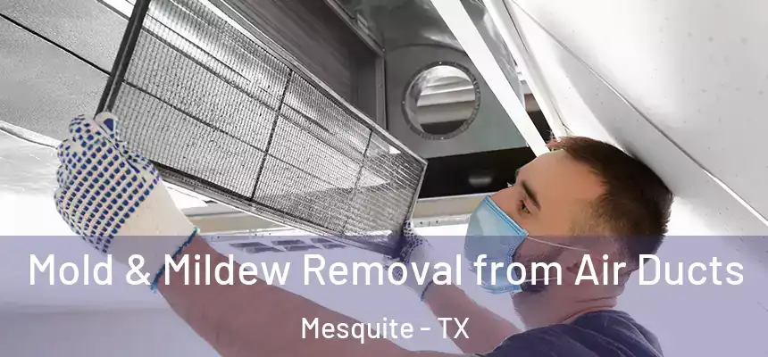 Mold & Mildew Removal from Air Ducts Mesquite - TX