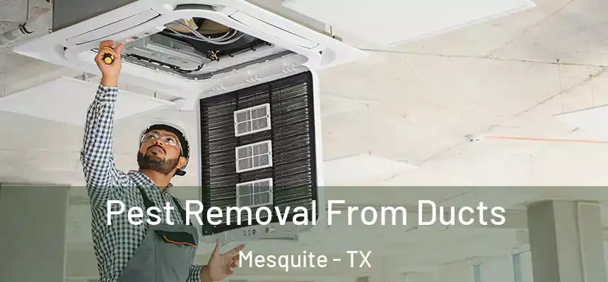 Pest Removal From Ducts Mesquite - TX