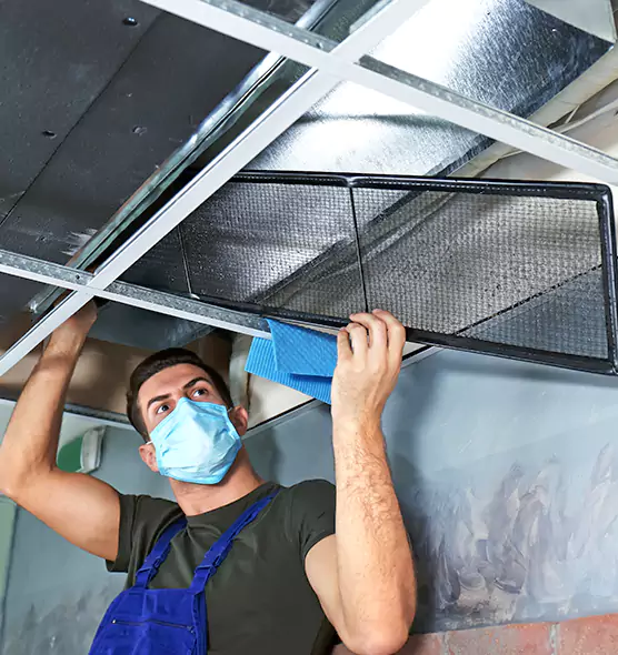 Professional Air Duct Pollen Cleaning in Mesquite, TX