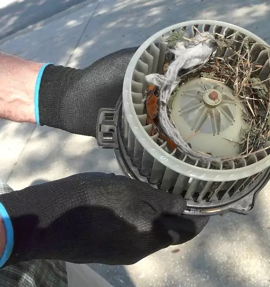 About Air Duct Rat Removal in Mesquite, TX