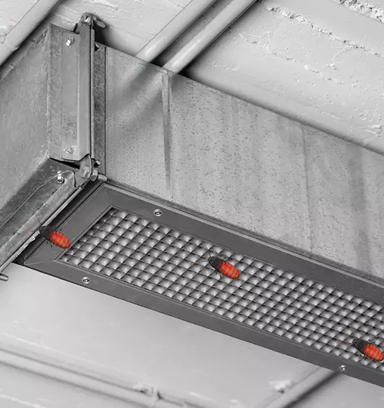 Affordable Insect Removal from Air Ducts in Mesquite, TX