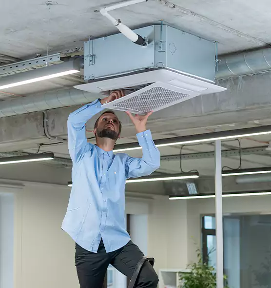 Advanced Rodent Droppings In Vents in Mesquite, TX