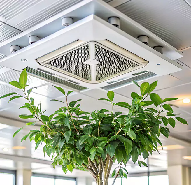 Why Homeowners & Businesses Trust Us in Mesquite, TX