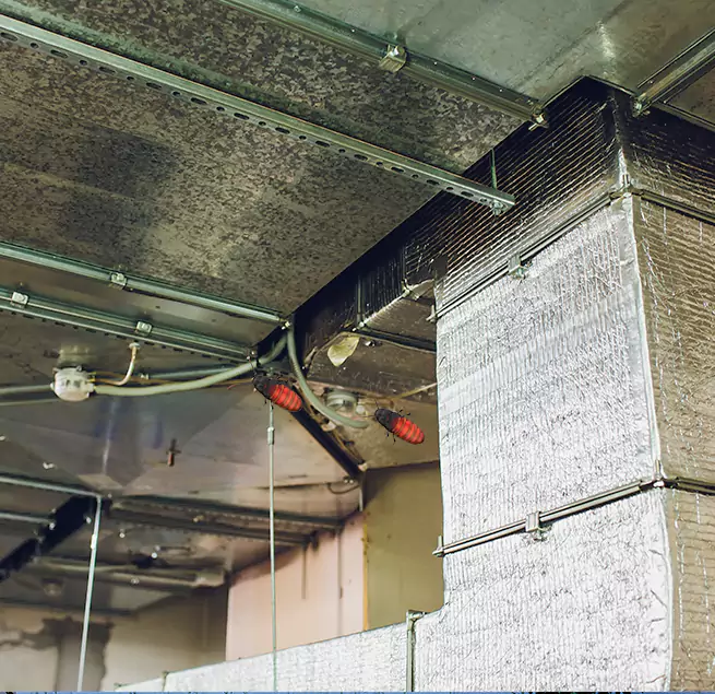 Why Homeowners & Businesses Trust Us Mesquite, TX?