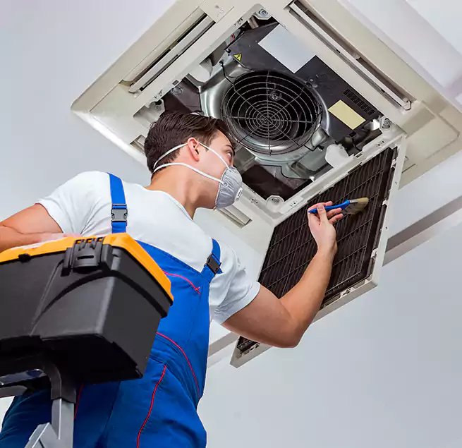 Why Homeowners & Businesses Trust Us in Mesquite, TX?